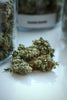2025 Trends in Alternative Cannabinoid Products You Need to Know - Relivia