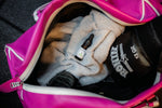 CBD for Athletes: Unlocking the Potential for Enhanced Performance and Recovery - Relivia
