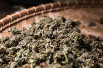 Discovering CBD & Its Fascinating Family Members - Relivia