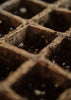Embracing Change: Cultural Attitudes Towards Alternative Cannabinoids - Relivia