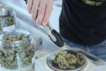 Stay Ahead: News on New Cannabinoid Discoveries - Relivia