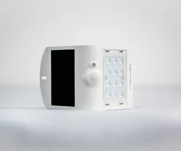 The Fascinating Science Behind Alternative Cannabinoids: Unlocking the ...