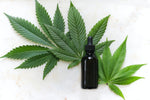 The Healing Power of CBD: Managing Addiction and Withdrawal - Relivia