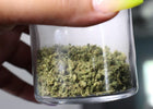 The Hidden Gems of Cannabis: Discover Lesser-Known Cannabinoids - Relivia