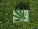 Unlocking the Mysteries of CBD: A Guide to Different CBD Products - Relivia