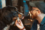 Unlocking the Power of Minor Cannabinoids: What You Need to Know - Relivia