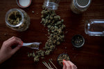 Unlocking the Power of Terpenes in Cannabis - Relivia