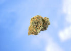 Your Guide to Consumer Safety: Essential Considerations When Purchasing Cannabinoids - Relivia