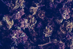Exploring Alternative Cannabinoids: Elevate Your Mood and Tame Anxiety - Relivia