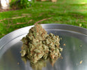 Indica Products Enjoy Potent THC Experiences with Flavor