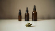 The Synergy of Cannabinoids and Other Supplements - Relivia